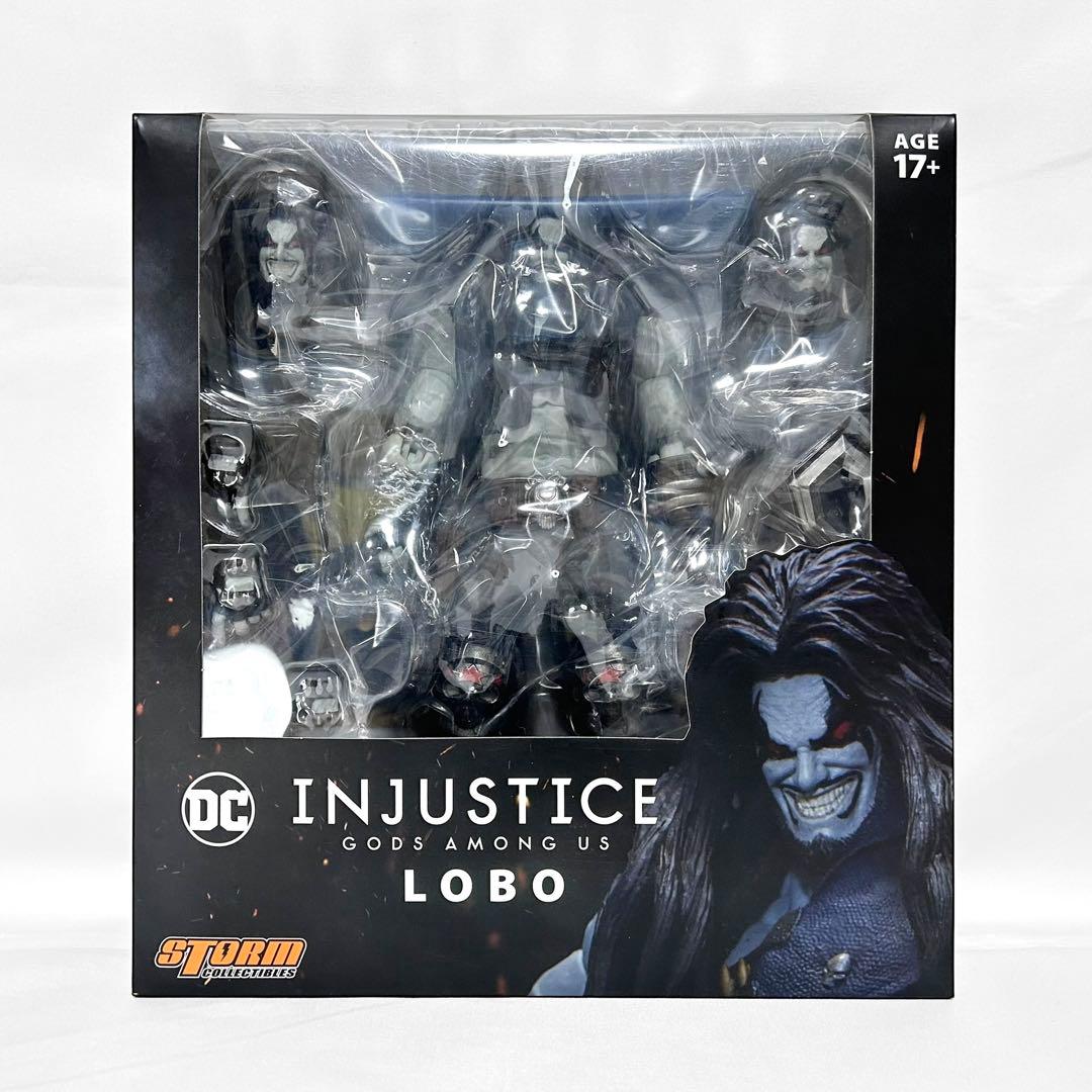 STORM ストーム インジャスティス ロボ フィギュア アクションフィギュア