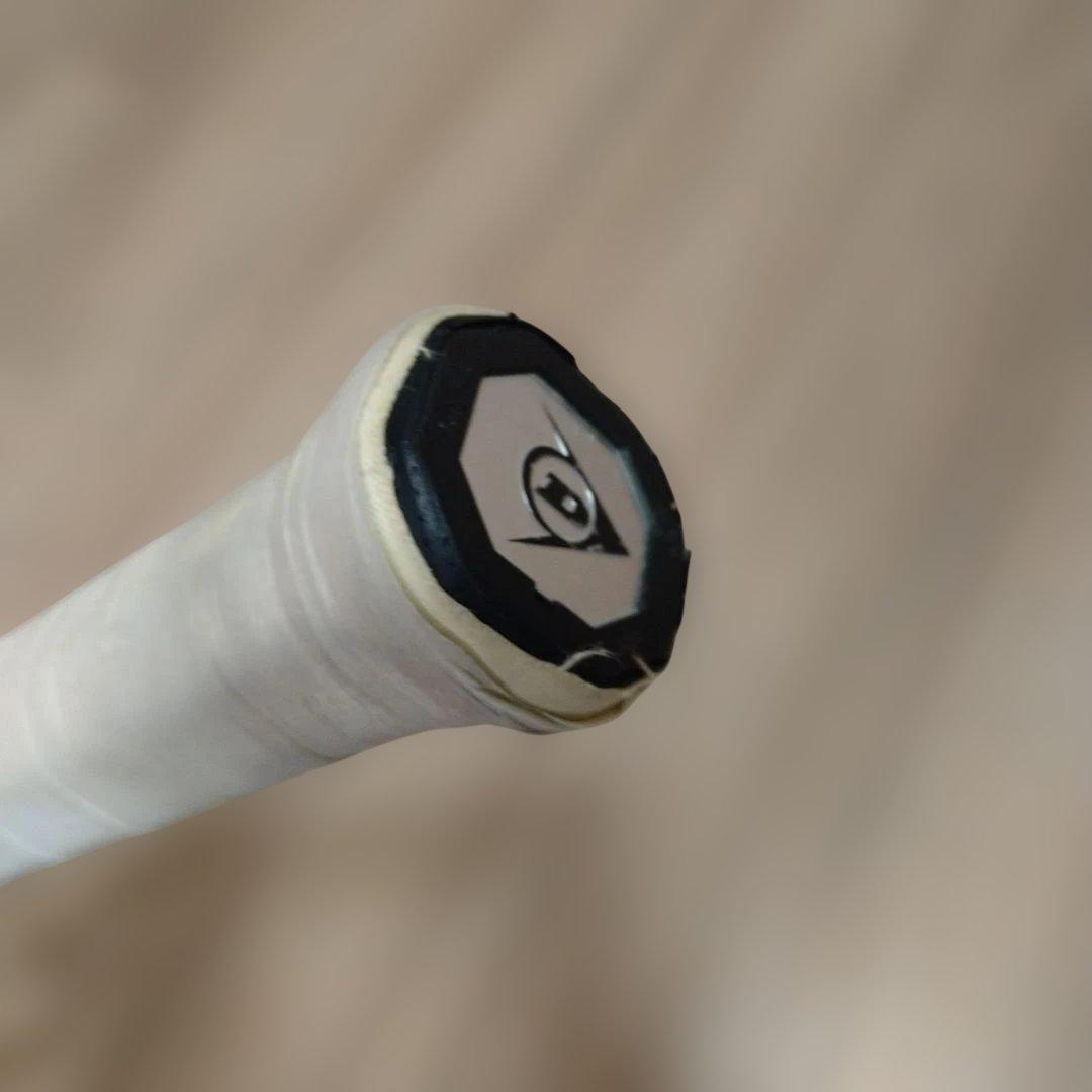 ダンロップ　CX200　2024年版 二本セット