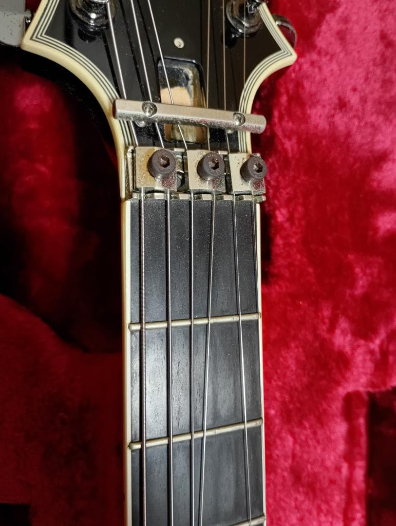 【SUGIZO直筆サイン入り！】 LUNASEA　TLRS　　　ESP R-Ⅰ