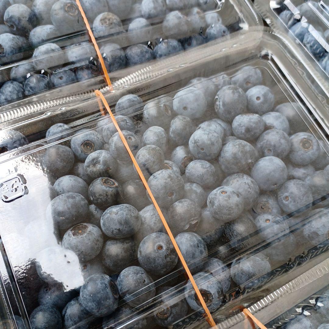 トミー様予約　冷凍　ブルーベリー　4kg