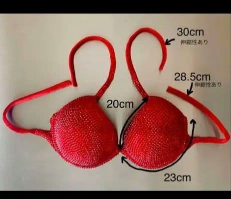 ★JBBF 　SV Bikini　ビキニケース付