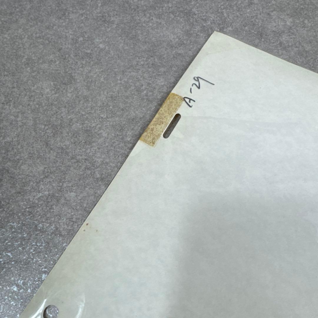 希少 おもひでぽろぽろ 岡島タエ子 セル画 A29 スタジオジブリ