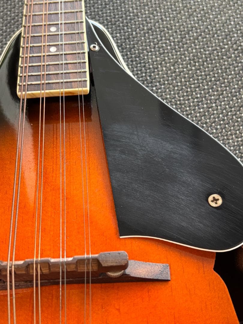 【美品と思います】Aria AM-20 マンドリン　ハードケース付き　送料無料