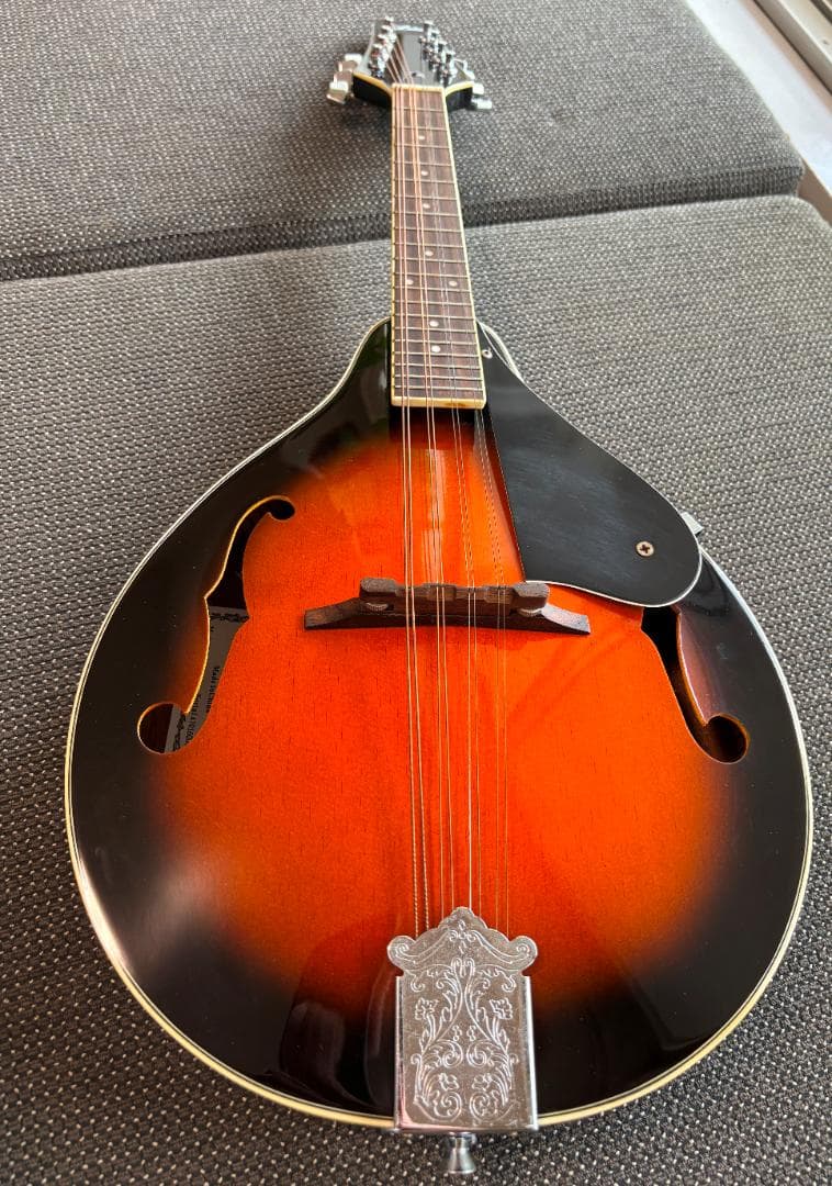 【美品と思います】Aria AM-20 マンドリン　ハードケース付き　送料無料