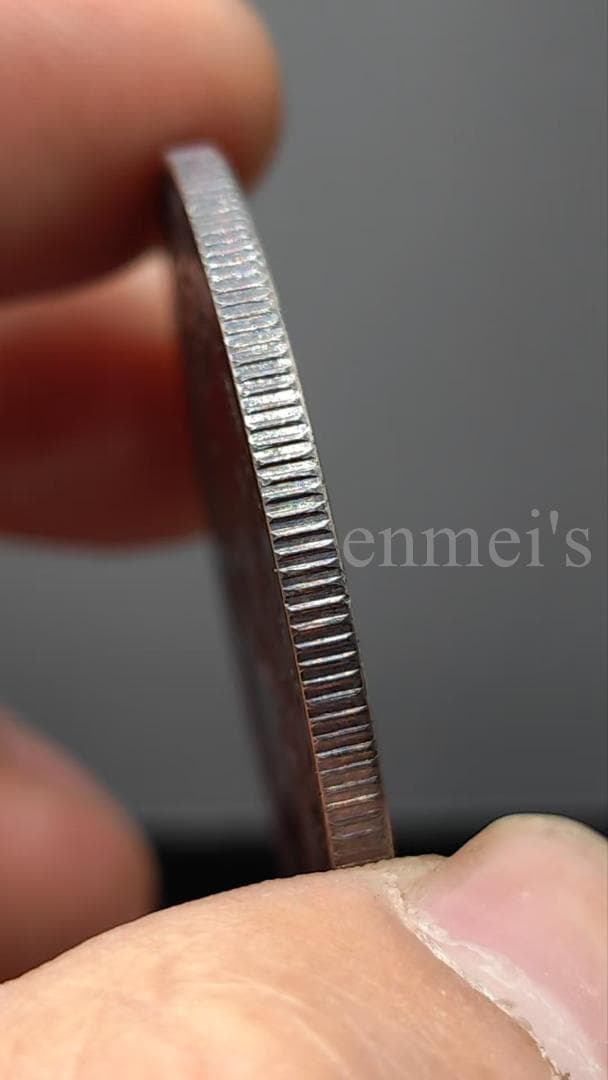 袁世凱像・中華帝国・洪憲紀元・壹圓銀貨・古銭・紀念幣・龍幣・大型銀貨・硬貨