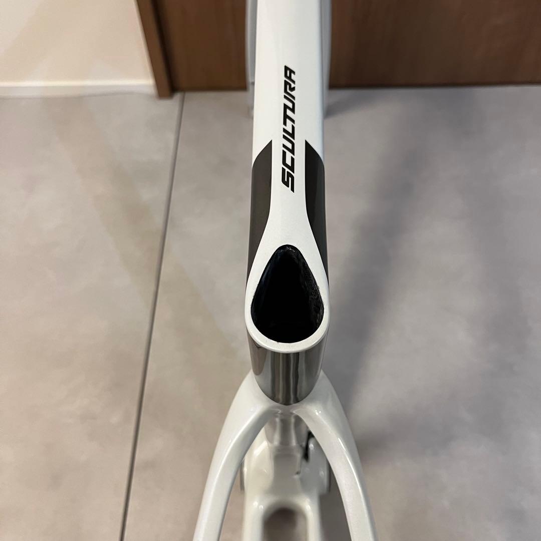 ベ*君様 MERIDA SCULTURA 6000 メリダ スクルトゥーラ CF