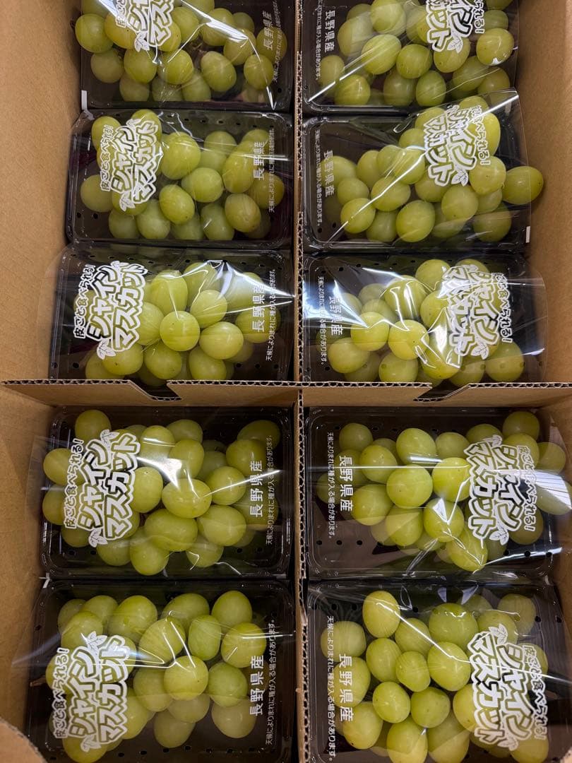 シャインマスカット 中10房 バラ売り可能！