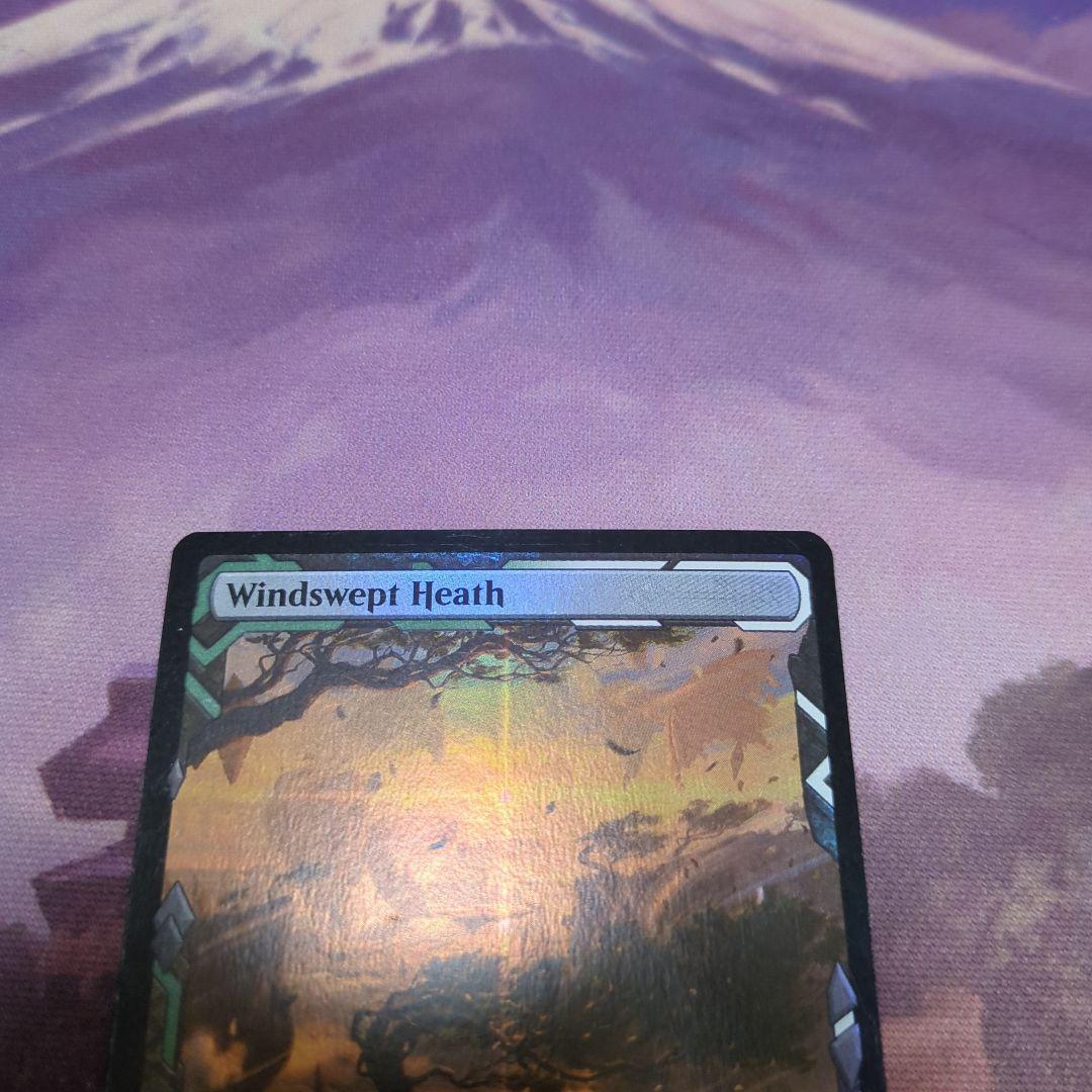 MTG 吹きさらしの荒野 ZNE 英語版 Foil