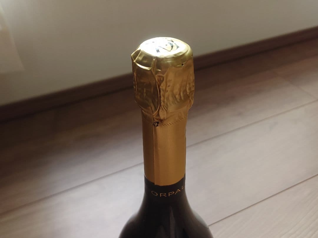 サン・ガール　オルパール　2008