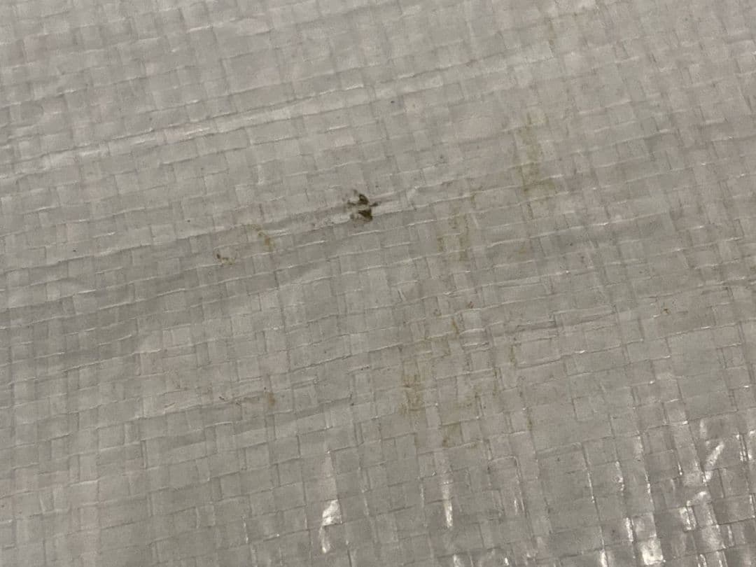 mont-bell ムーンライトテント1型 旧型 グランドシート付き