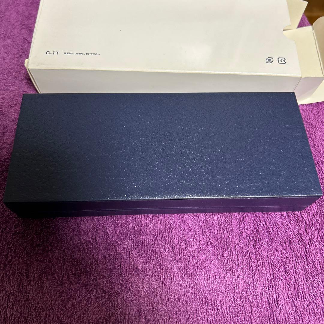 PLATINUM 万年筆 黒色 樹脂製