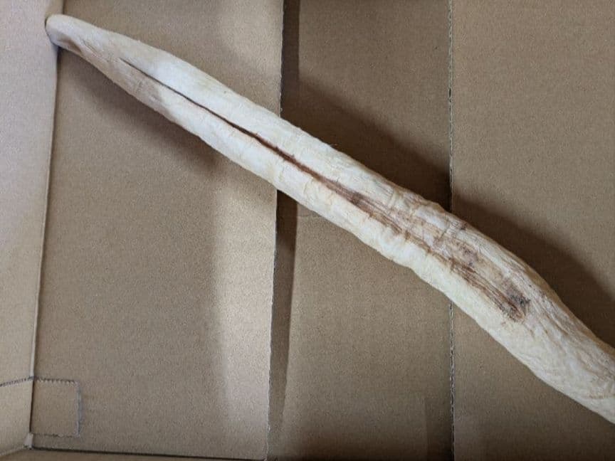 干し大根　　NENE