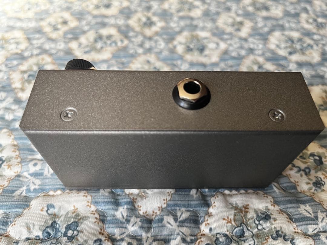 ギター ORGANIC SOUNDS HADES