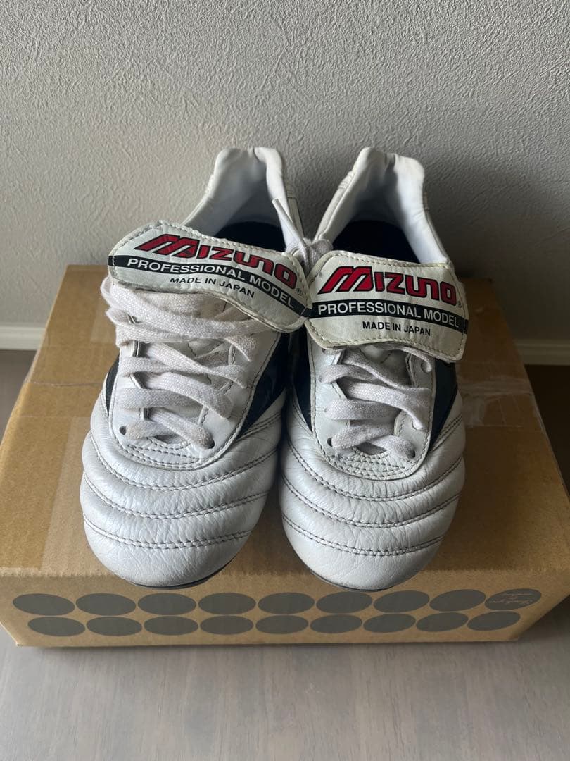 モレリア　希少タンあり　23.0