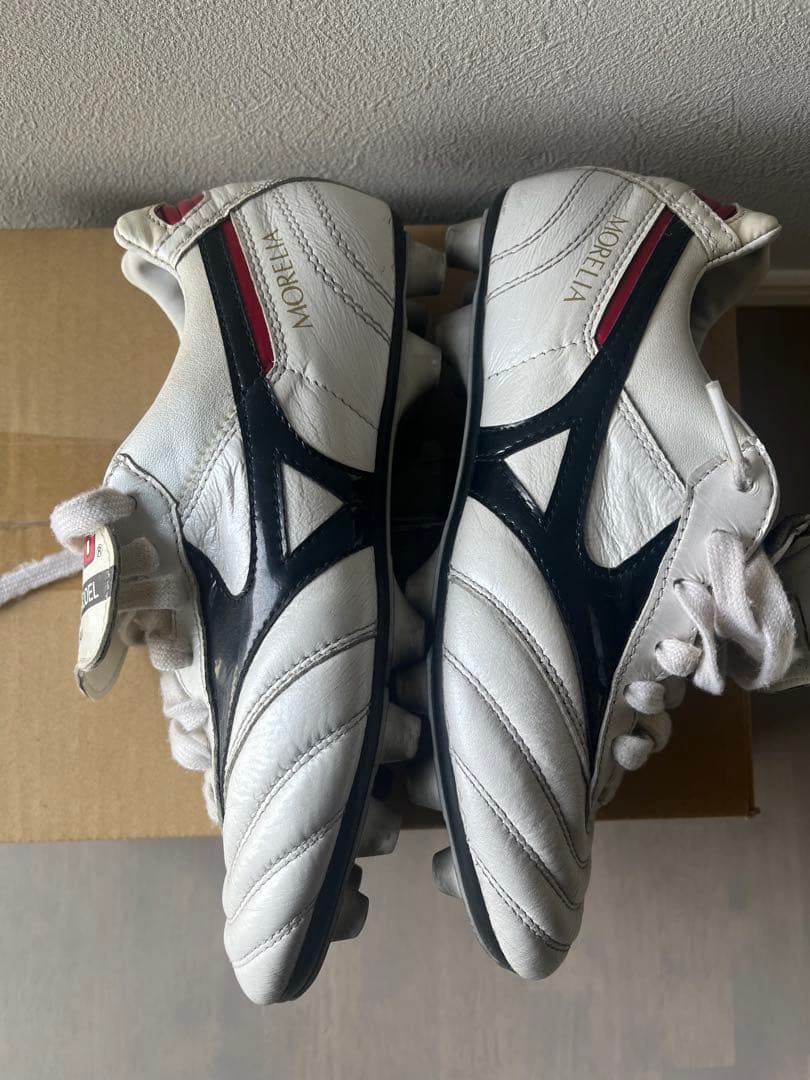 モレリア　希少タンあり　23.0