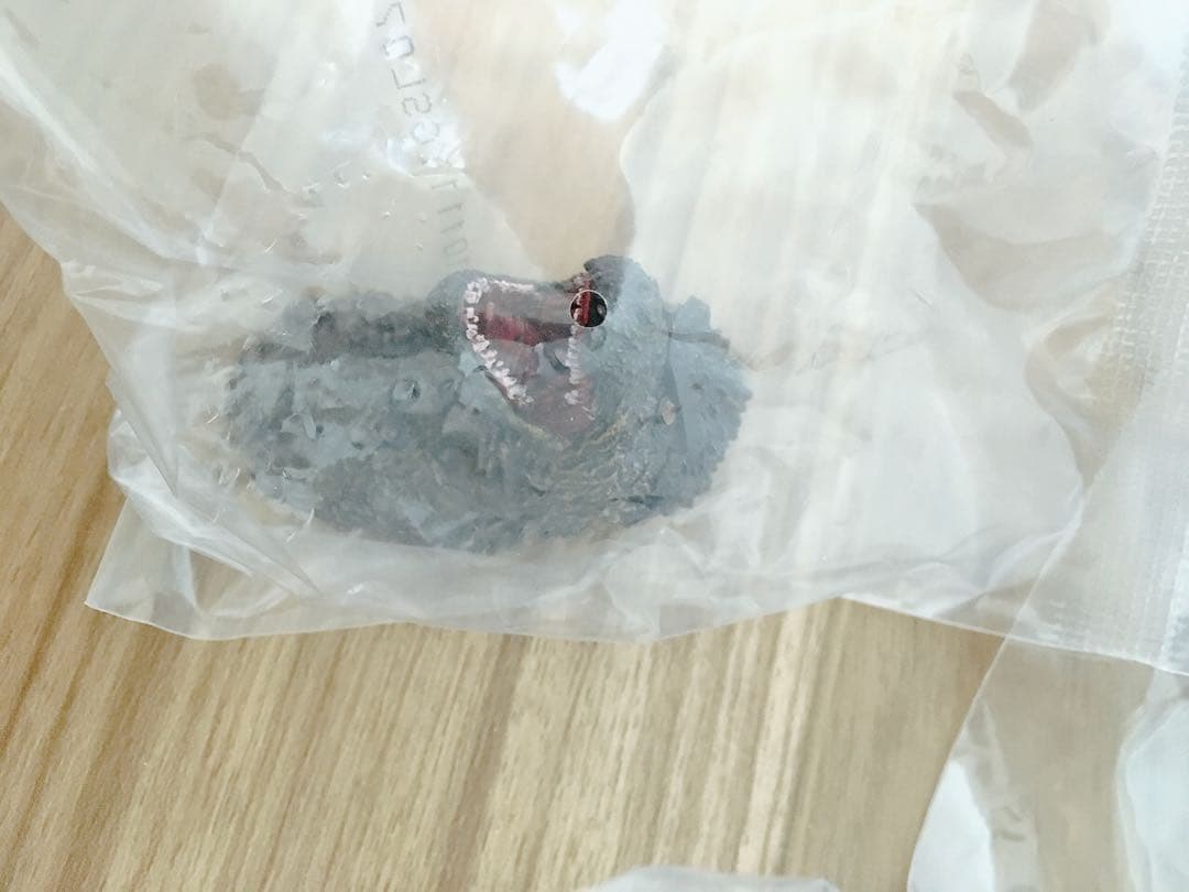 【8点】一番くじ　ゴジラ　モンスターヘッドマグネット