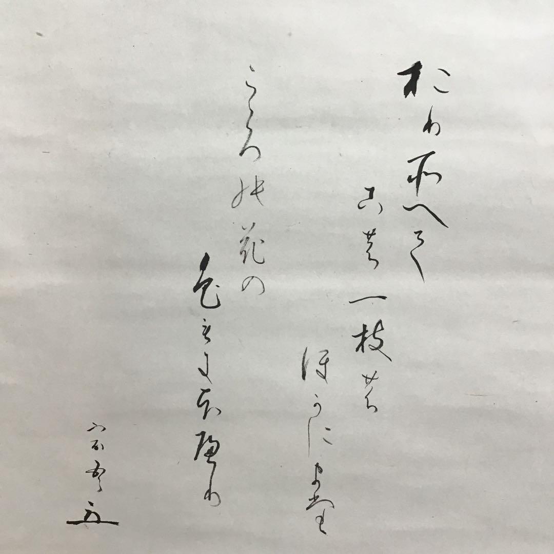 K茶道具　掛軸　「菊」　松尾流十代宗吾(不染斎)作　書付　共箱　S948KJ