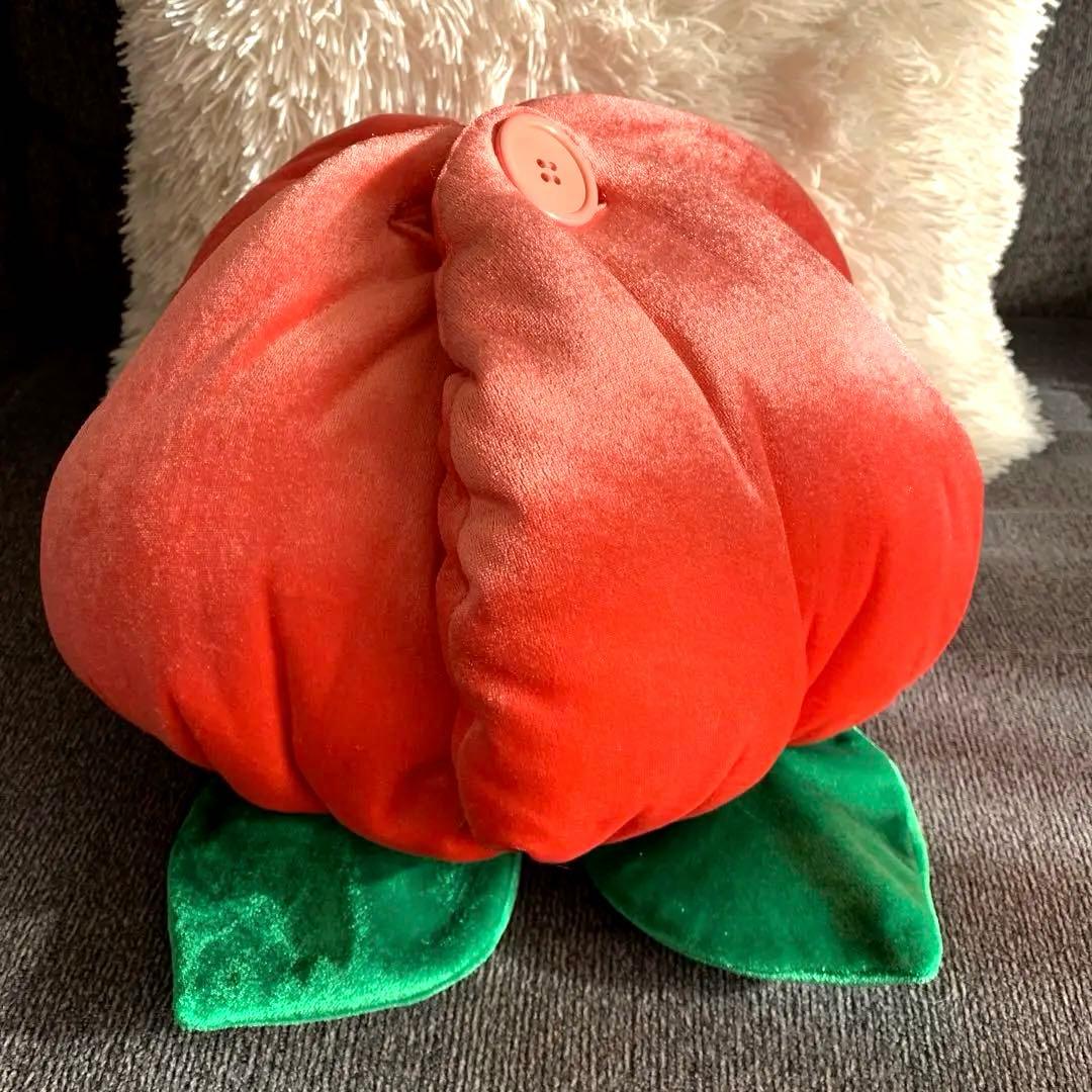 レア　ミッキー　ミニー　ぬいぐるみ　蕾　桃　ディズニーランド　当時物　縁起物