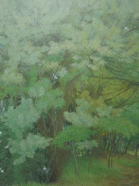 丹羽貴子、【菁々】、希少な額装用画集より、状態良好、新品額装付