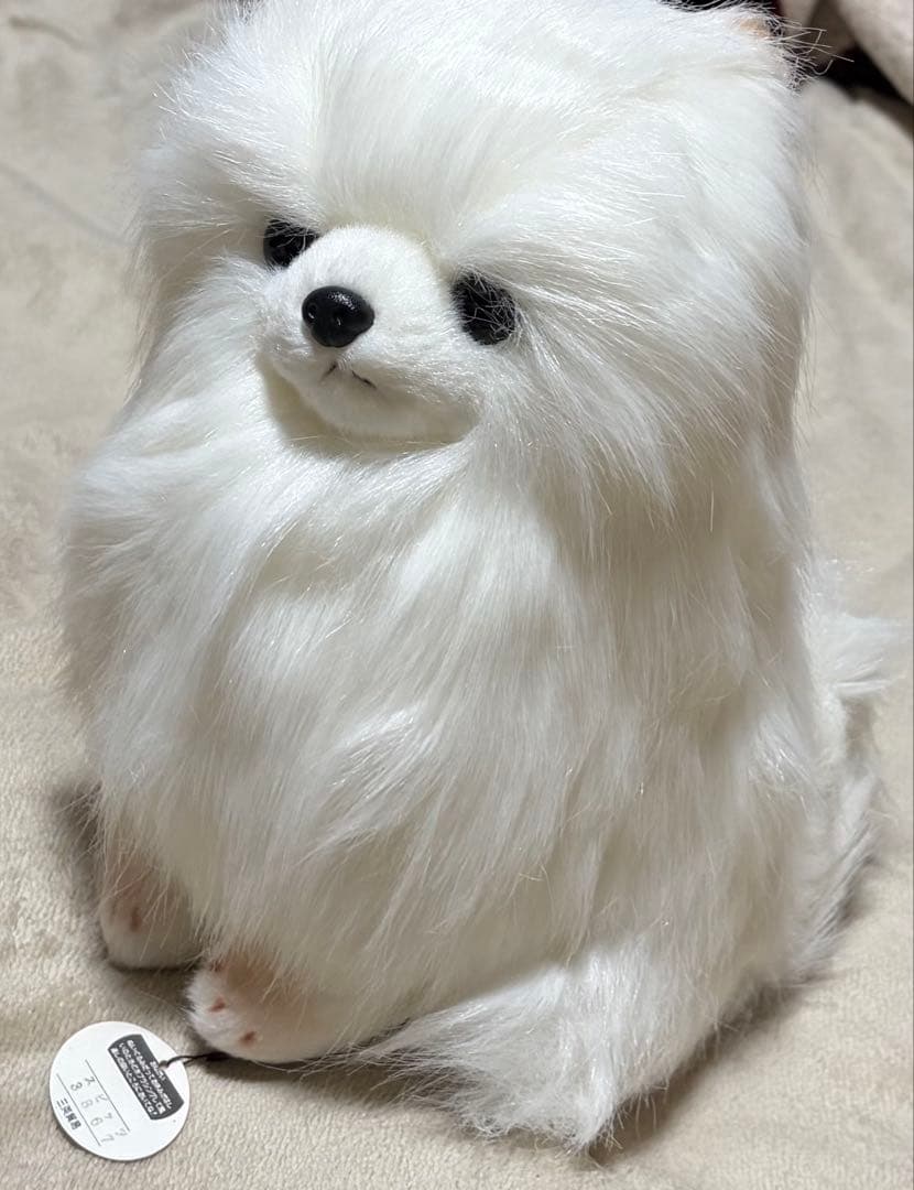 犬　三英　スピッツ　ポメラニアン　ぬいぐるみ　ホワイト