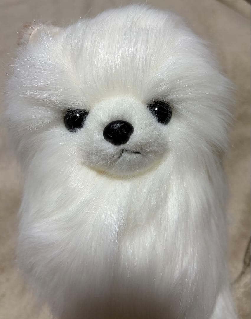 犬　三英　スピッツ　ポメラニアン　ぬいぐるみ　ホワイト