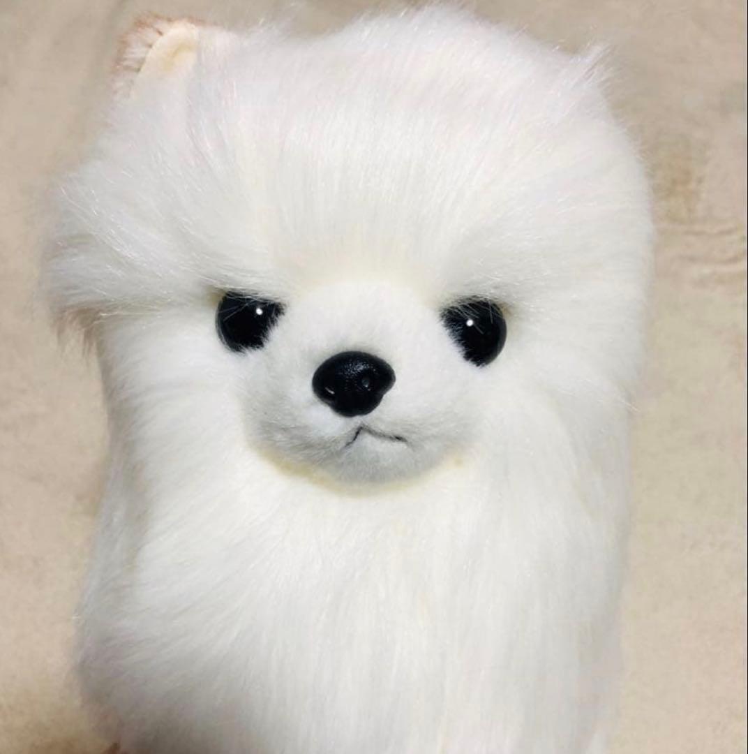 犬　三英　スピッツ　ポメラニアン　ぬいぐるみ　ホワイト