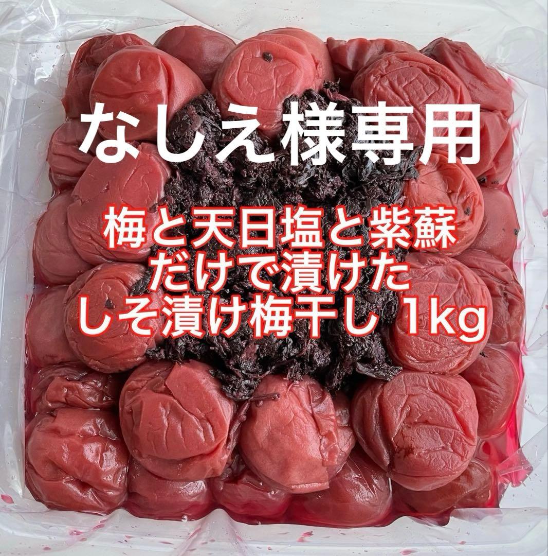紀州南高梅 訳ありしそ漬け梅干し梅 1kg×２個 訳あり白干し梅 1kg セット
