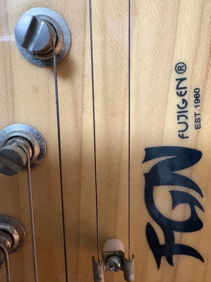 エレキギター　富士弦