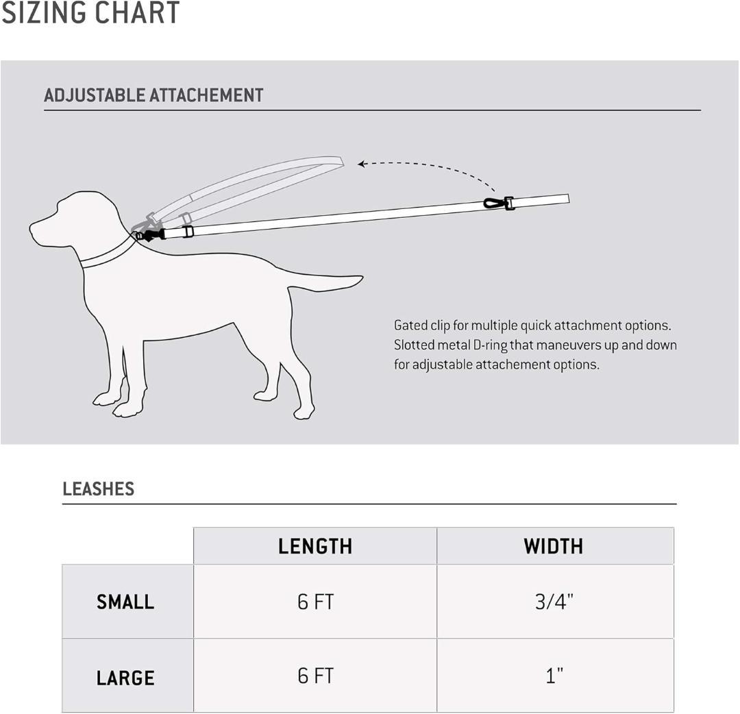 【NEW】Carhartt カーハート リード【L】＆首輪【M】赤ワイン 中型犬