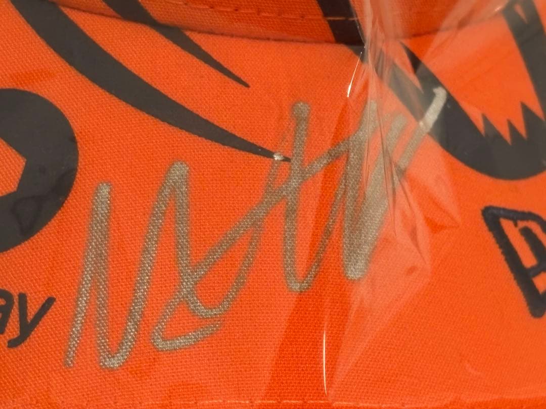 F1 マックス・フェルスタッペン　直筆サイン　キャップ　新品