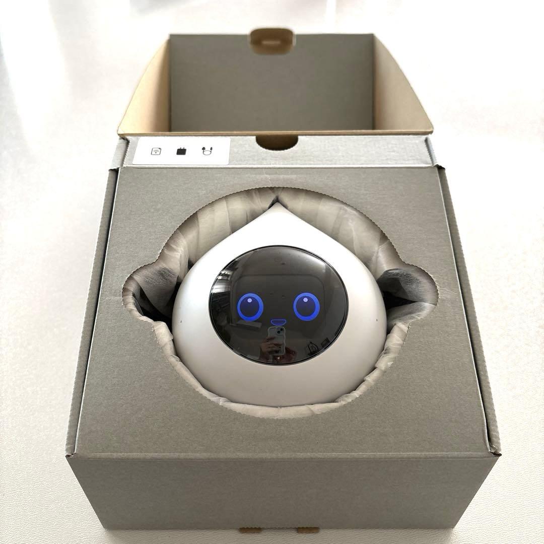 Romi ロミィ　AI搭載おしゃべりロボット