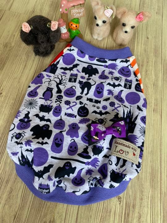犬服  ラグラン(M)   ꒡̈⃝Lily꒡̈⃝ハンドメイド   ハロウィン