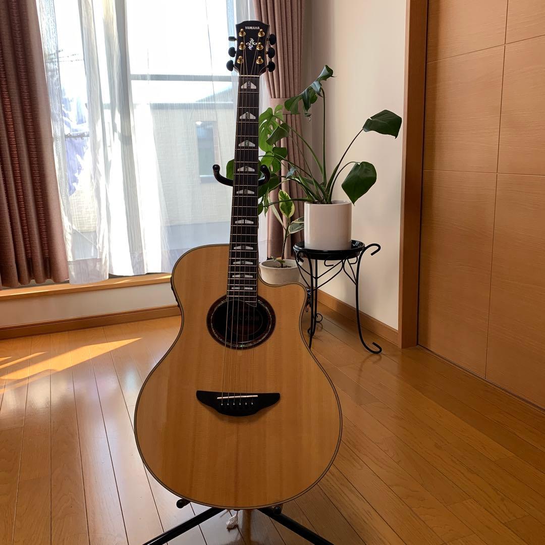 ギター APX1200II NT