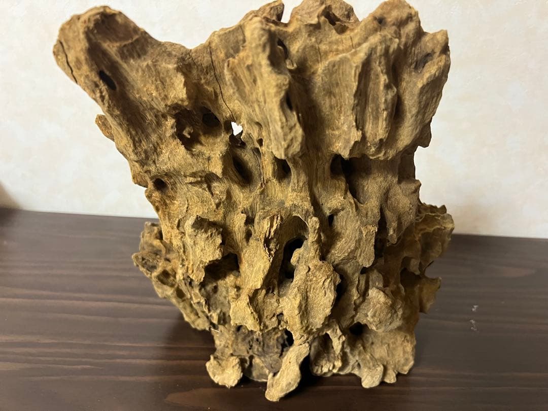 XM-350 流木　マシンガンウッド　アクアリウム　ブランチウッド