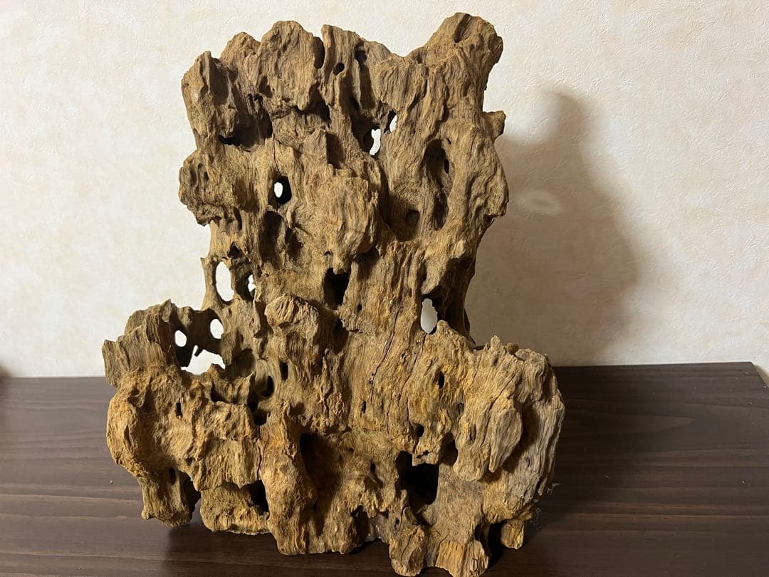 XM-350 流木　マシンガンウッド　アクアリウム　ブランチウッド