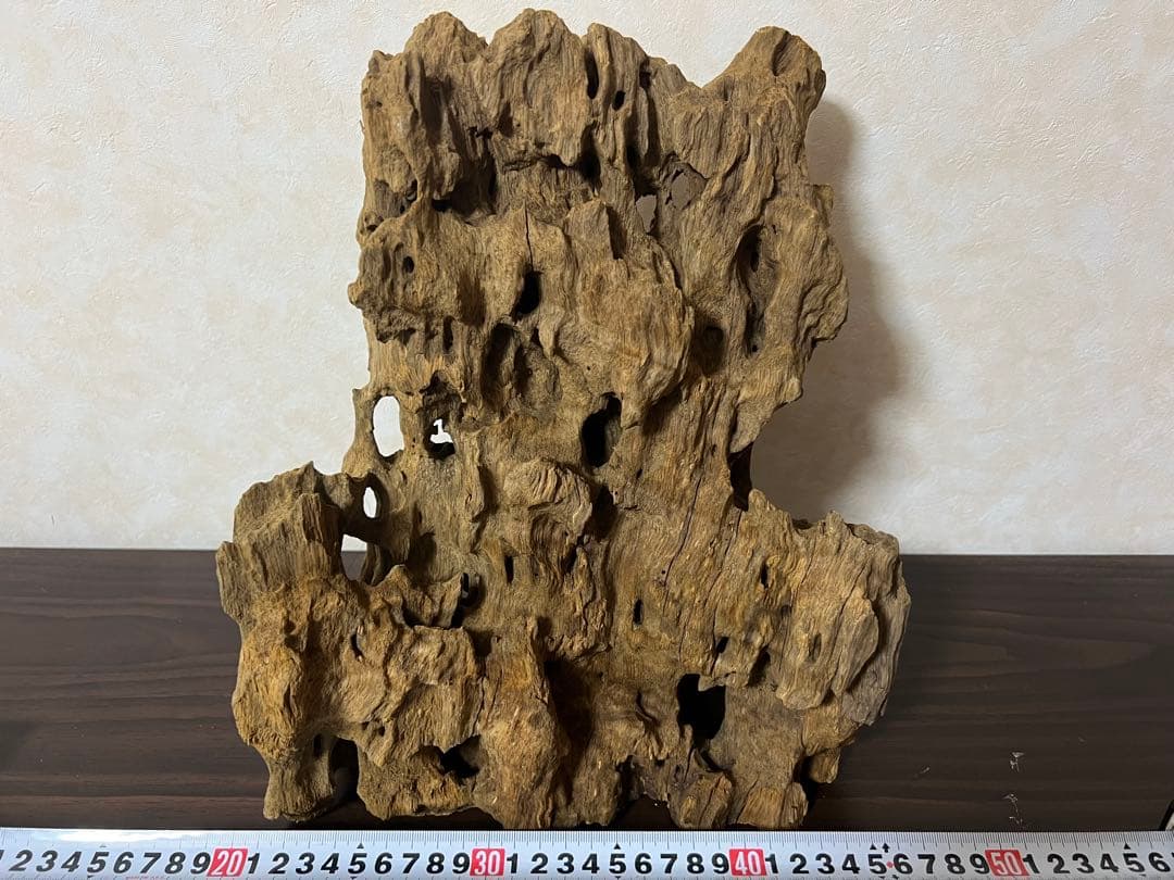 XM-350 流木　マシンガンウッド　アクアリウム　ブランチウッド