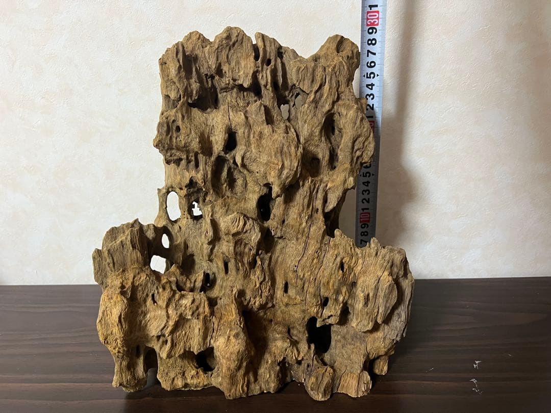 XM-350 流木　マシンガンウッド　アクアリウム　ブランチウッド