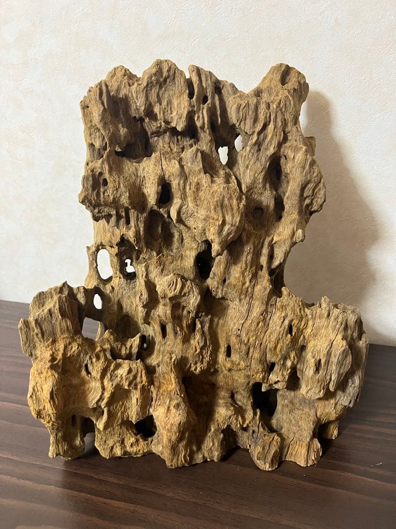 XM-350 流木　マシンガンウッド　アクアリウム　ブランチウッド