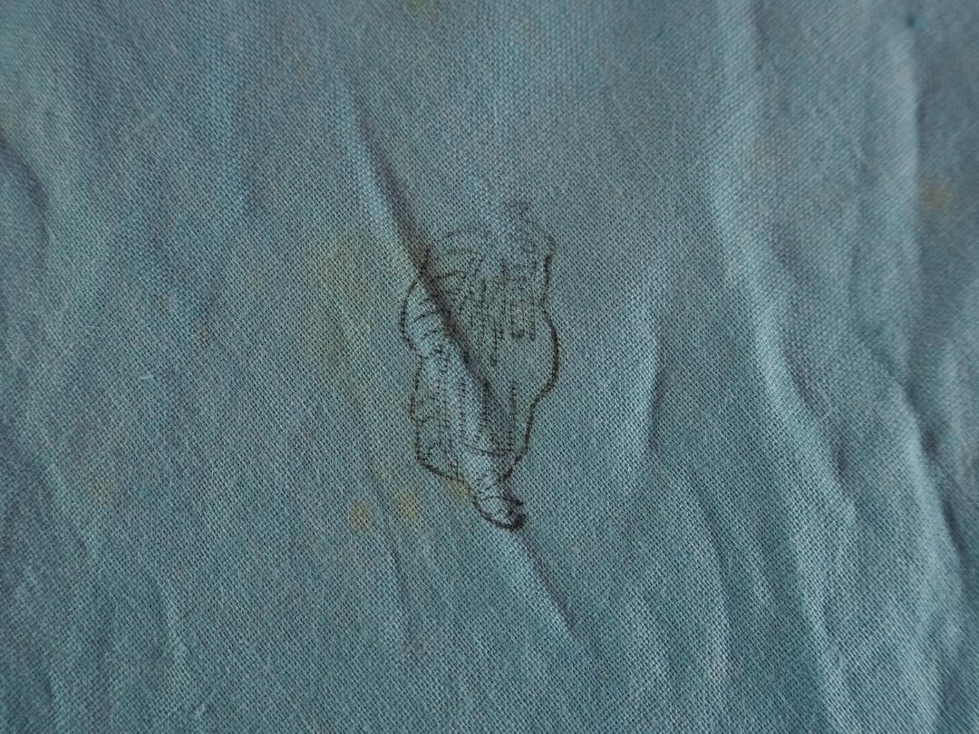 裏千家15世鵬雲斎御書付『色絵扇面茶碗』3代和田桐山造（共箱）