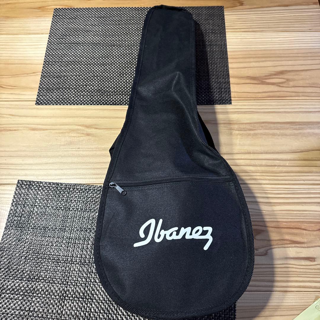 IBANEZ EWP14WB-OPN アコースティックギター