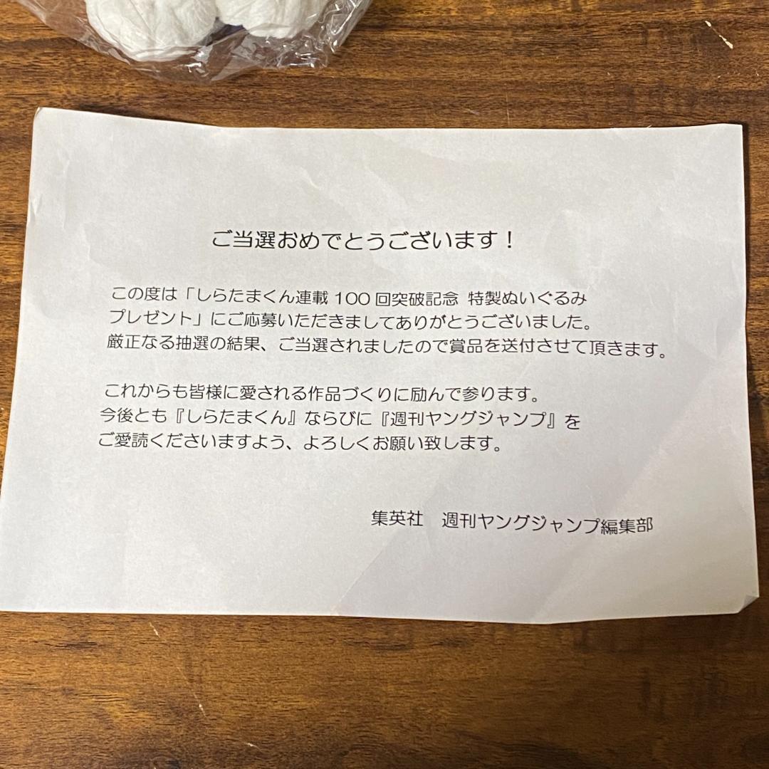 【100体限定】しらたまくん 連載100回突破記念 特製ぬいぐるみ 当選通知書付