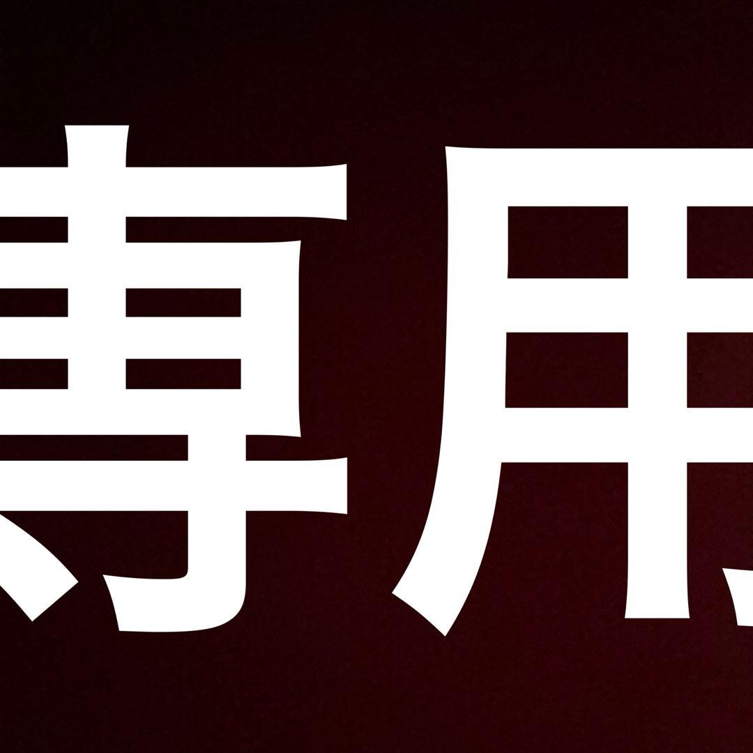 rinsei labリンセイラボ NJSフレームセット