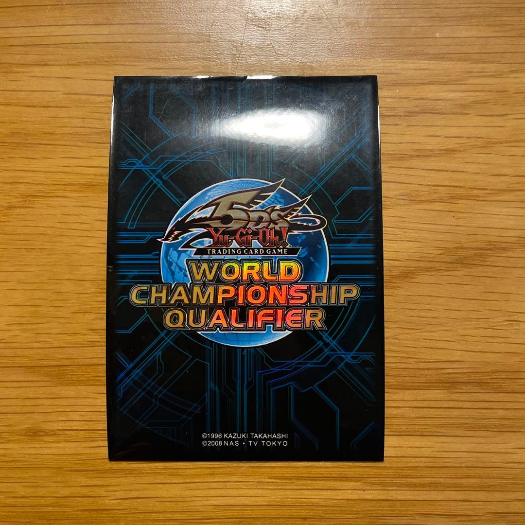 WCQ2010 スリーブ 100枚