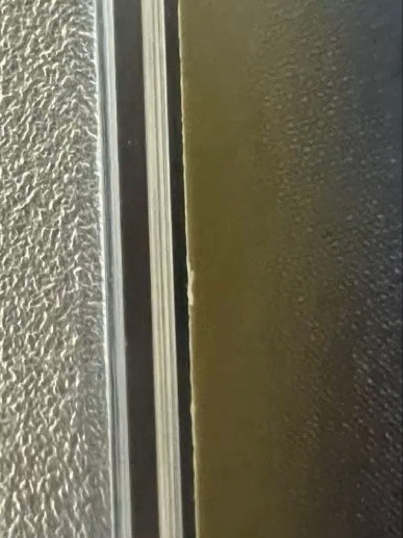 PSA10連番 リーフィア　シャワーズ　サンダースexプロモ　3枚セット