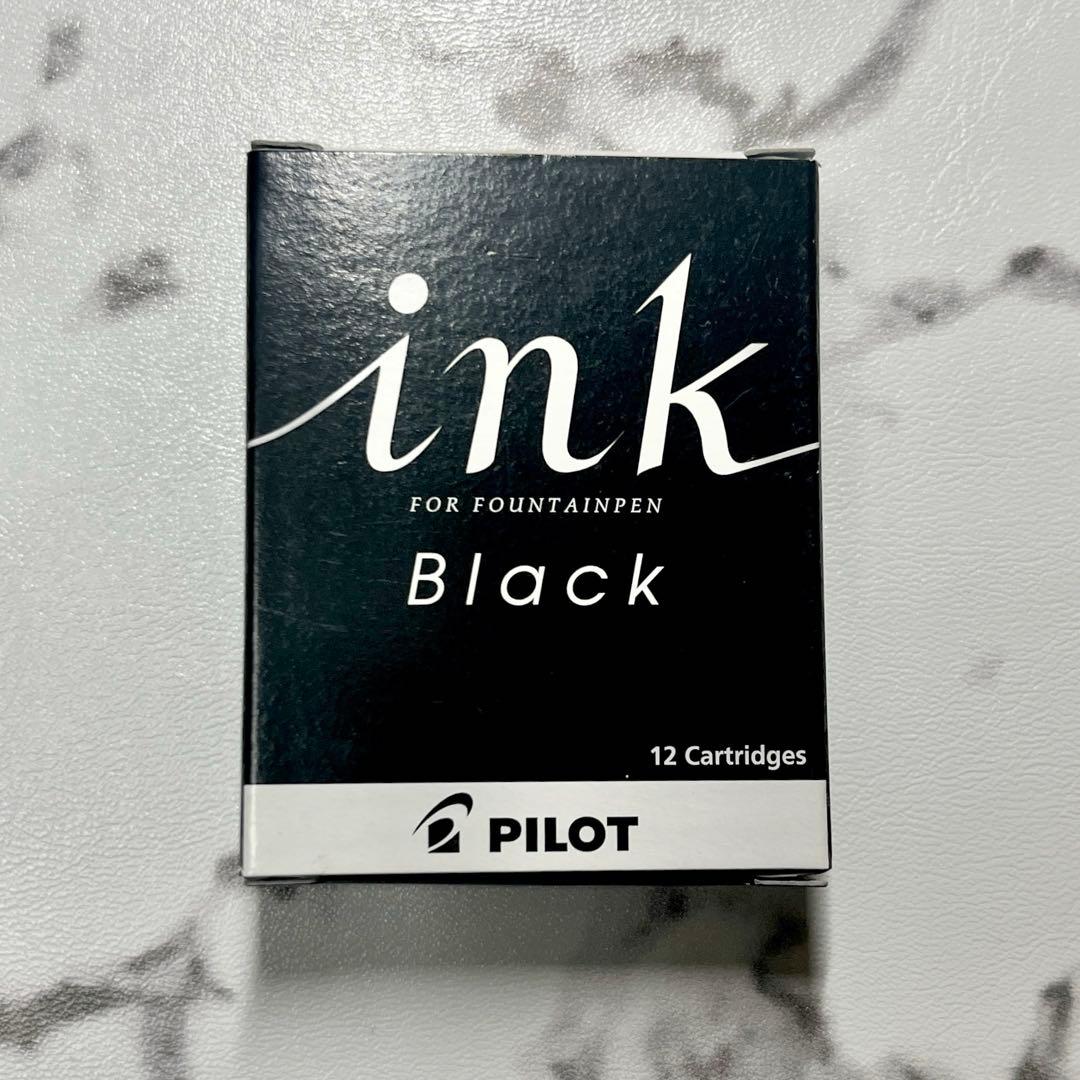 パイロット レグノ89s ディープレッド 14K 万年筆