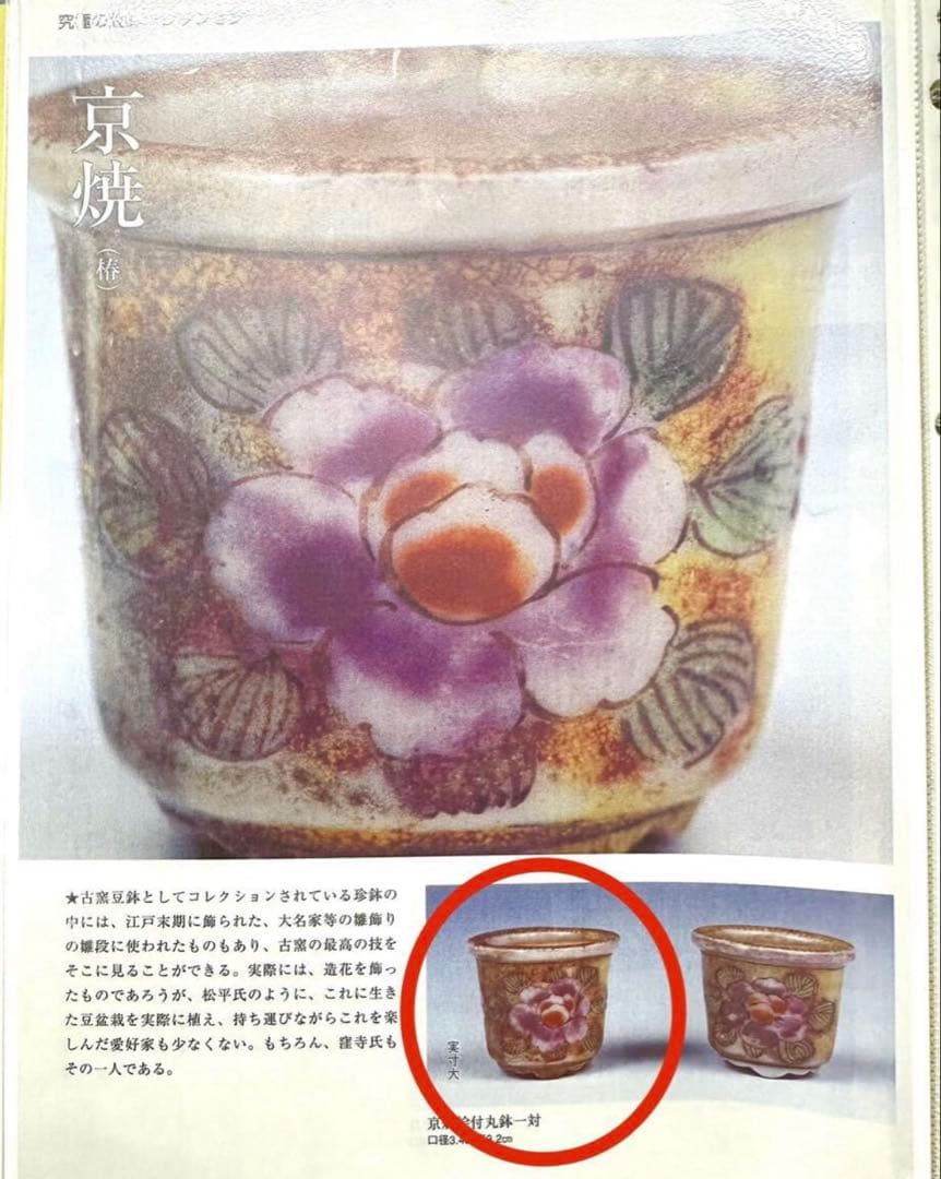 盆栽鉢　植木鉢　陶芸　園芸　盆栽