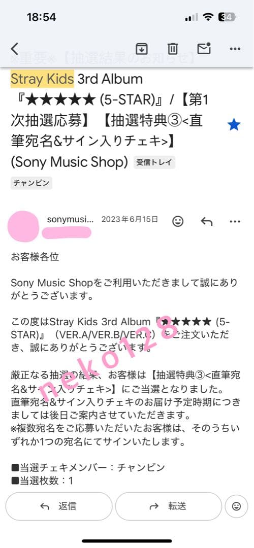StrayKids スキズ 5star 直筆 サイン入りチェキ チャンビン