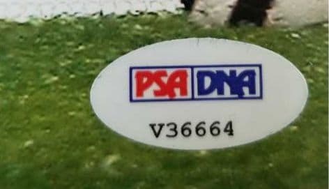 フランチェスコ・トッティ、直筆サイン入り、フォトグラフ、証明書付き。