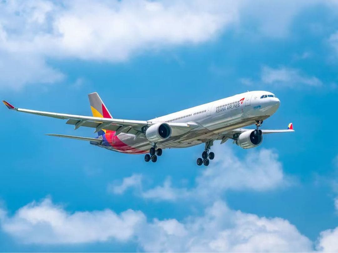 アシアナ航空 A330-323 Airlinertags スターアライアンス3色