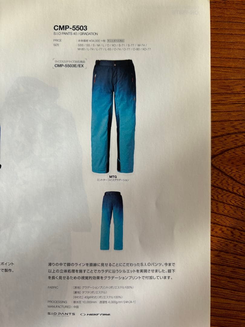 中古品　スキーウェア（クリーニング済）上下セット　DESCENTE　Lサイズ